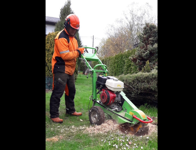 T&ouml;&ouml;tav frees