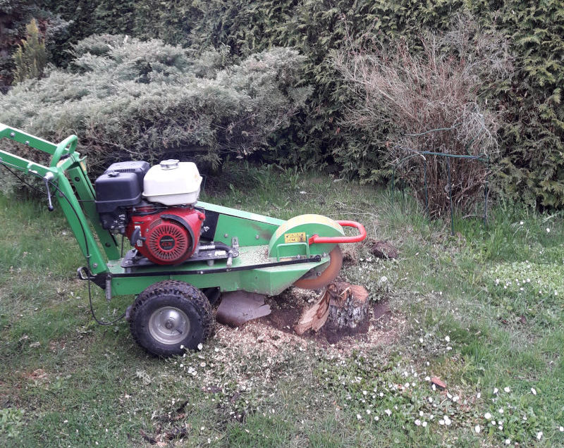 V&auml;iksem frees, raskesti ligip&auml;&auml;setavatele kohtadele