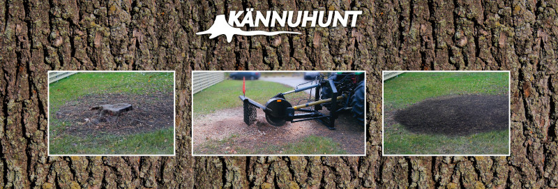 K&auml;nnuhunt freesimist&ouml;&ouml;